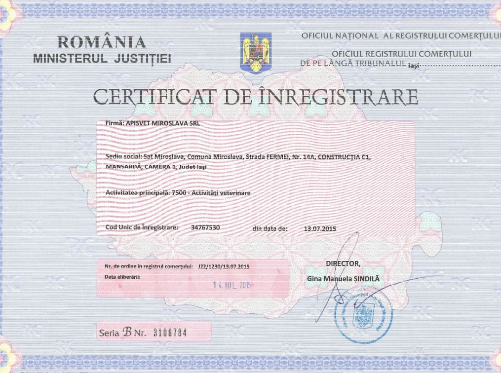 Certificate Image