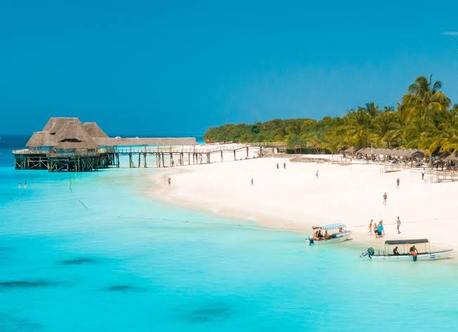 Mangrove Island In Watamu