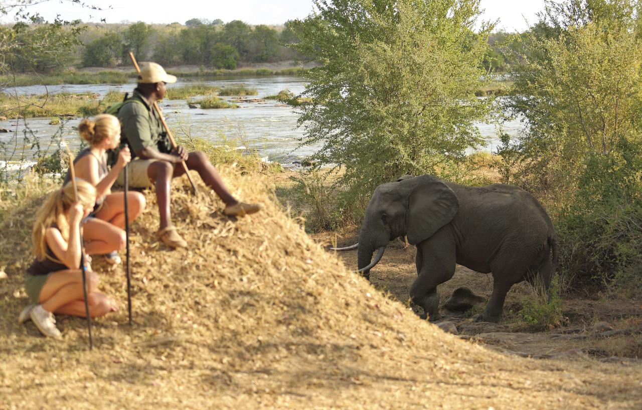 3 Days 2 Nights Mikumi Safari