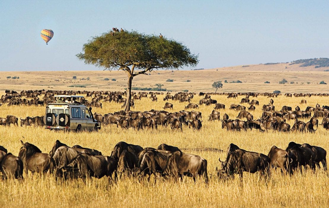 8 DAYS MASAI MARA, NAKURU,NAIVASHA AND AMBOSELI BUDGET SAFARI. ( EXTRA DAY AT THE MASAI MARA)
