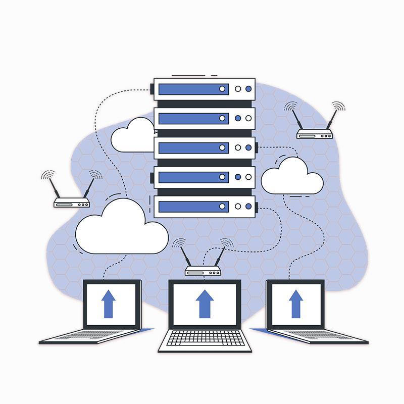 Web Domain & Hosting