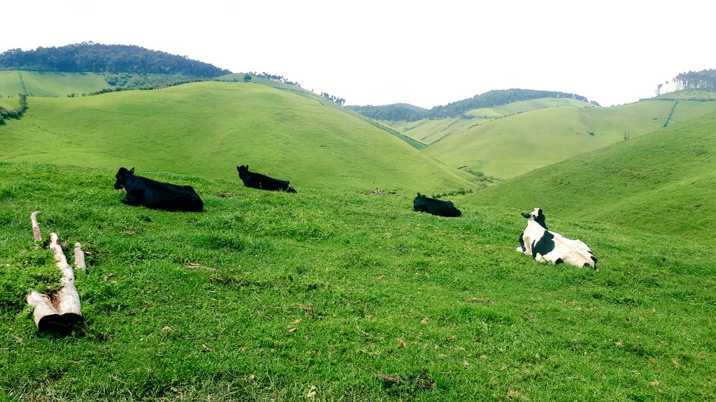 A 9-day cultural tour inside the country of Thousand hills