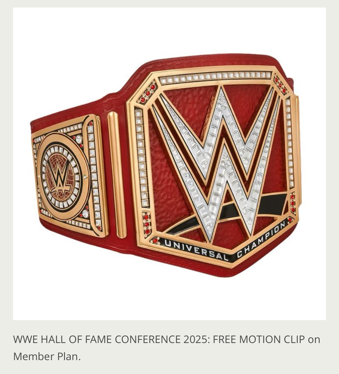 WWE Hall of Fame Conference 2025 Member