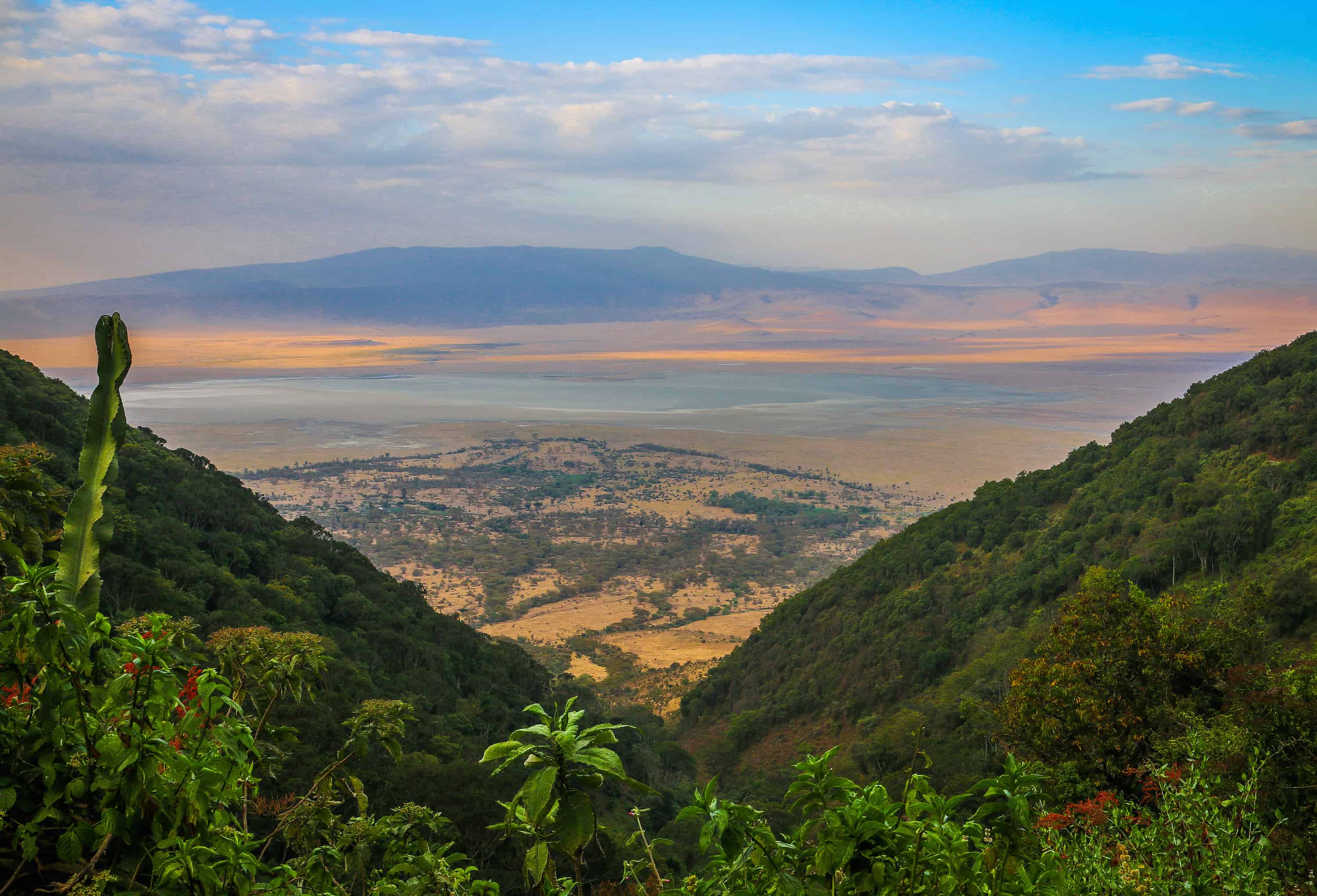 Ngorongoro