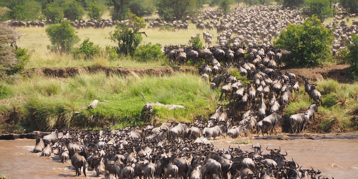 SERENGETE NATIONAL PARK