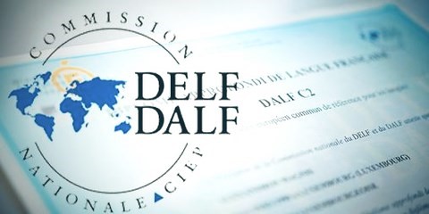 Maîtrisez le Français Mieux que 80% des Locuteurs Natifs avec le DALF C2 en 300 heures