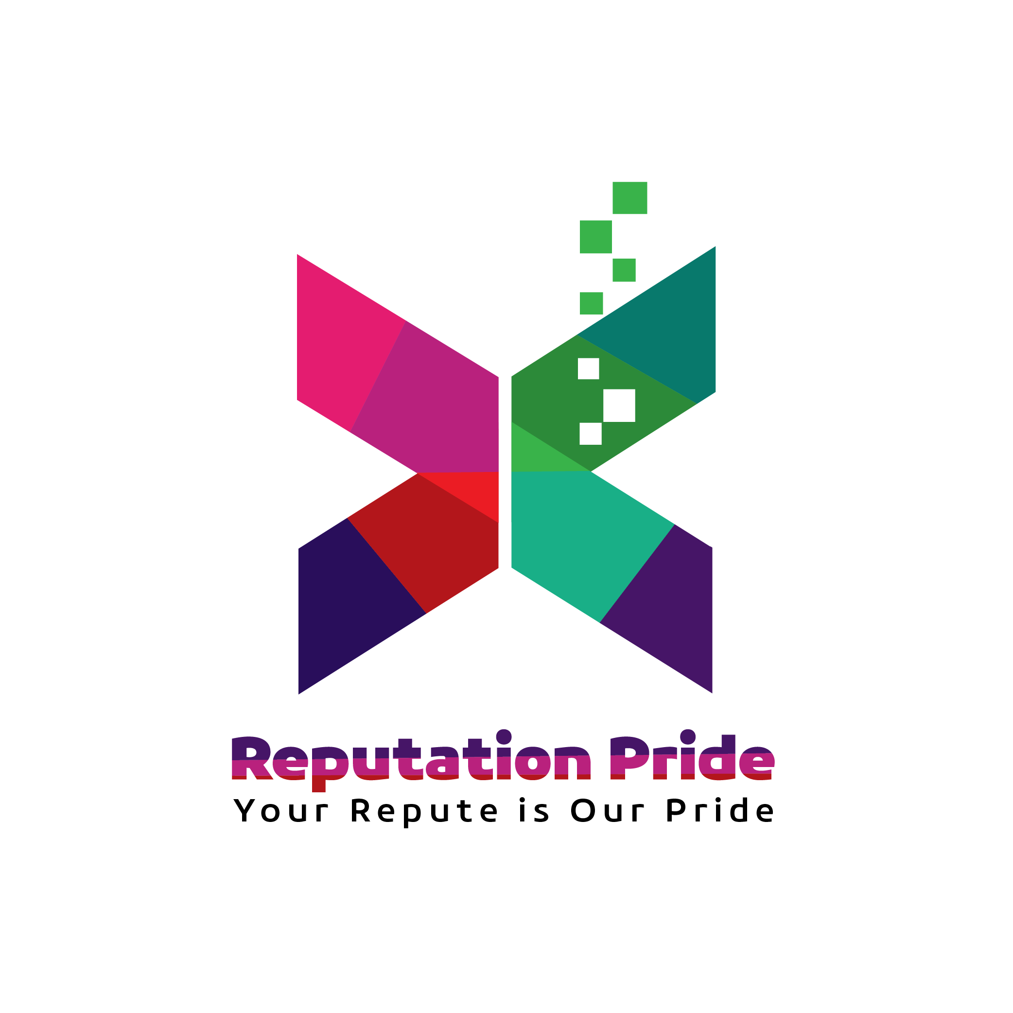 Online Reputation Management Services