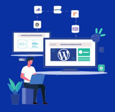 Wordpress Web Development