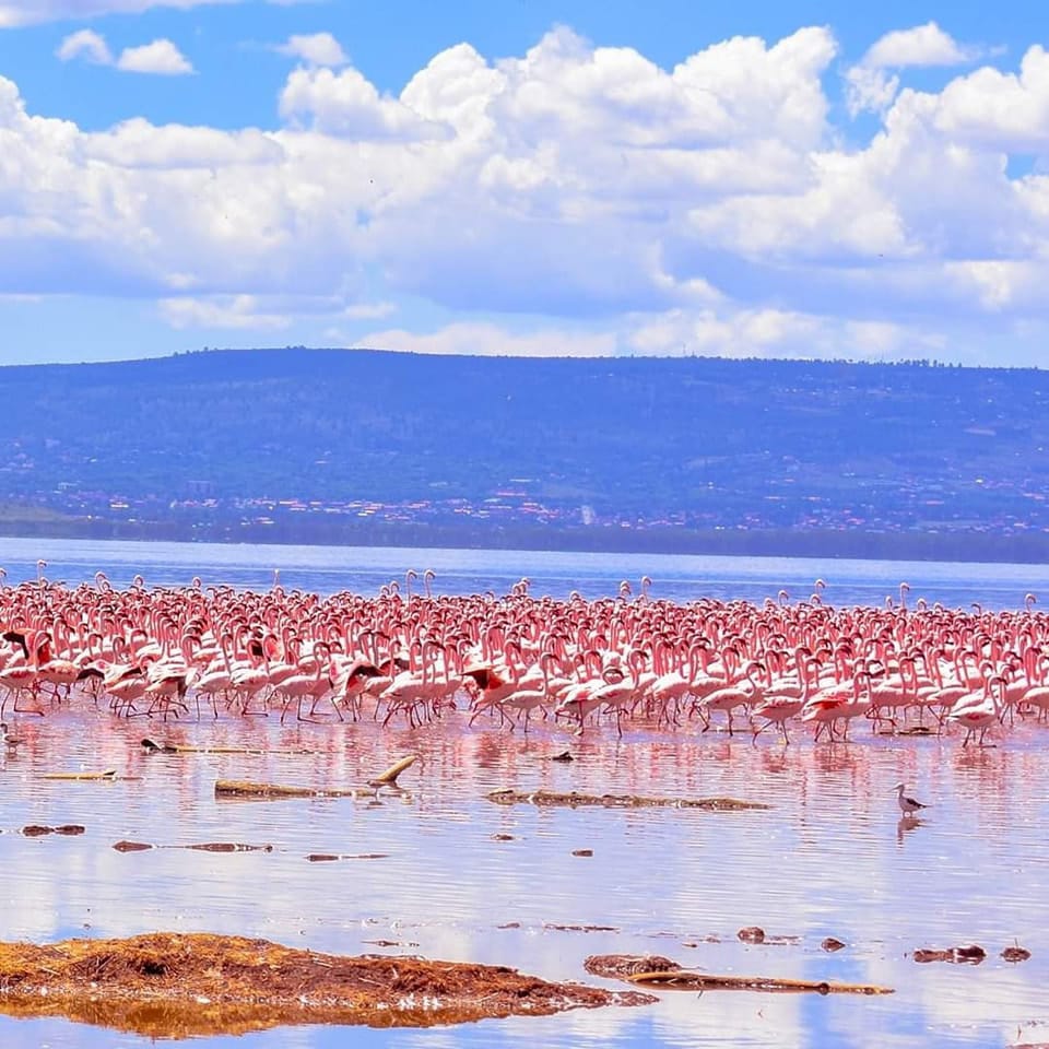 3-Day Midrange, Explore Naivasha & Nakuru