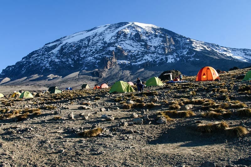 8 Days Lemosho Route Climbing KIilimanjaro