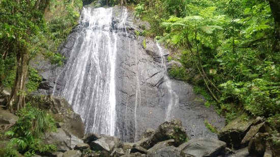 El Yunque rainforest & Luquillo Beach