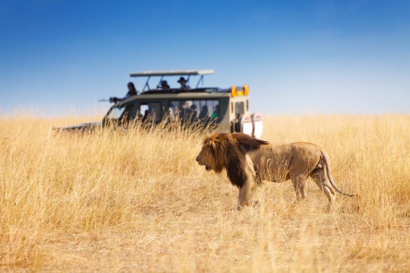 12-Day Kenya and Tanzania Wildlife Safari