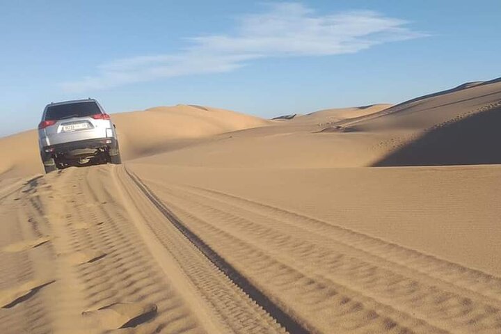 Desert trip
