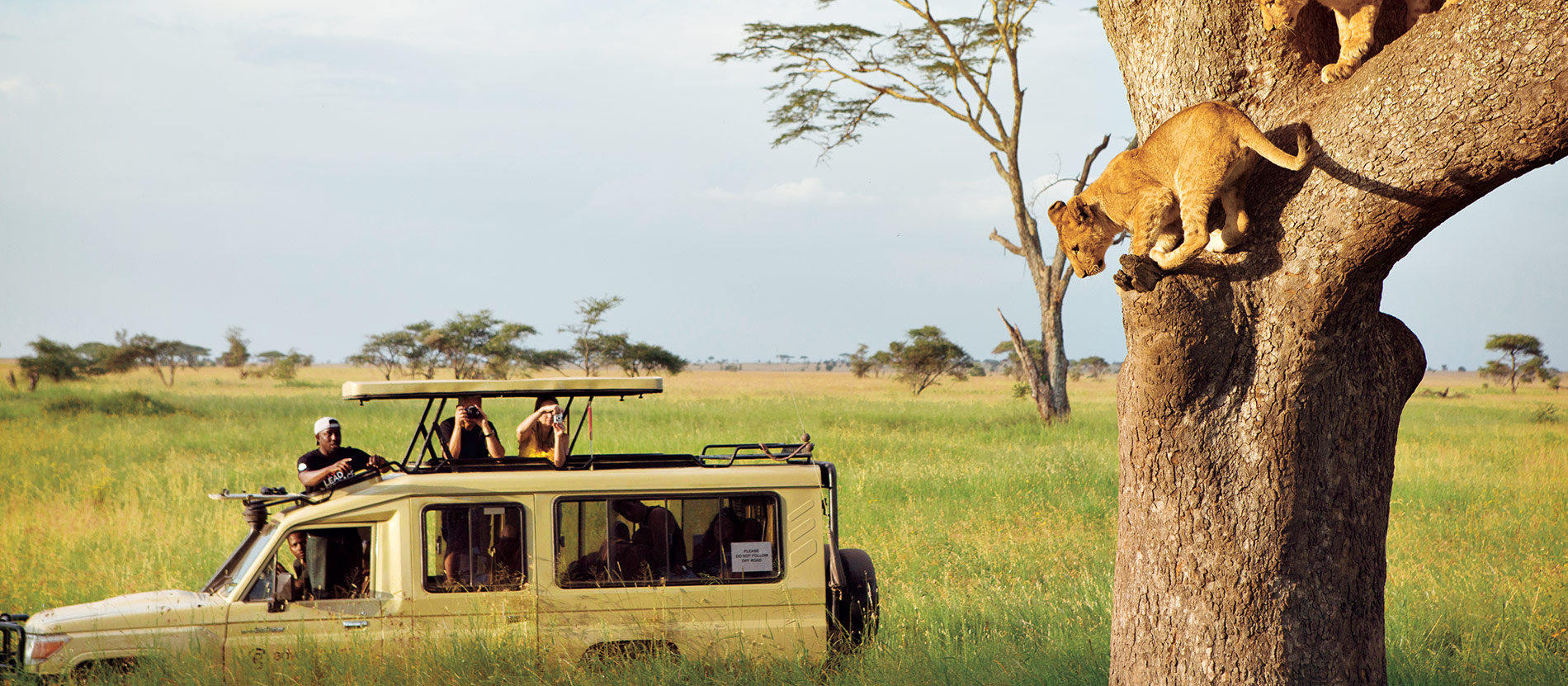 4 Days Luxury Tanzania Safari – Tarangire, Serengeti & Ngorongoro Crater