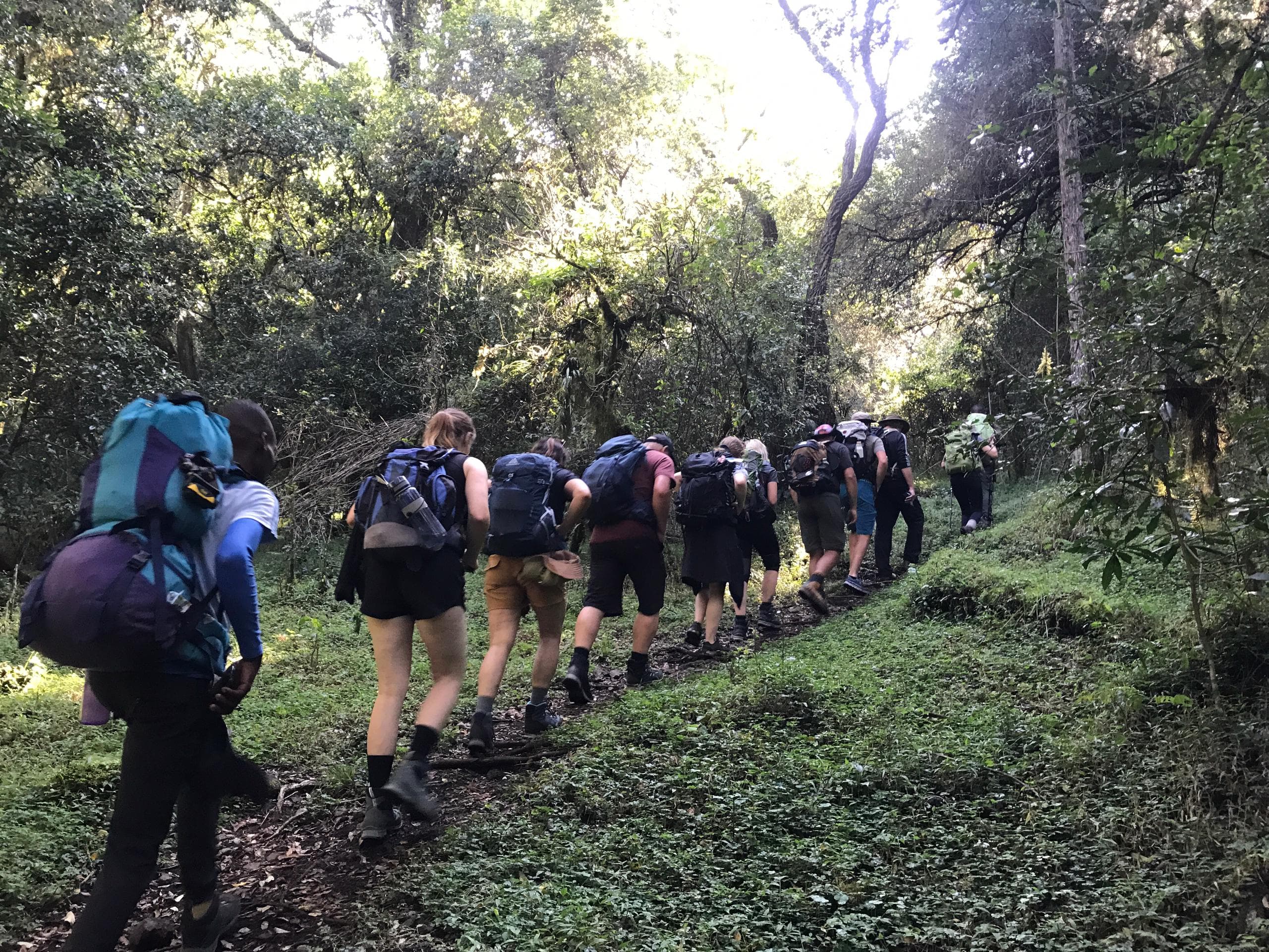 Machame route 6 days kilimanjaro climbing