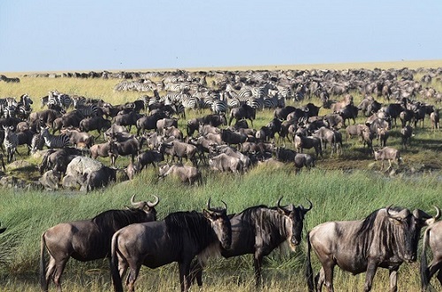 8 days Northern Tanzania Expedition