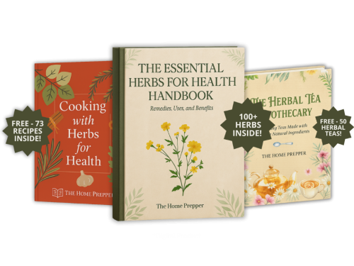 Herbs for Health