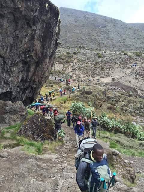 LEMOSHO ROUTE KILIMANJARO CLIMB (8-10 Days)