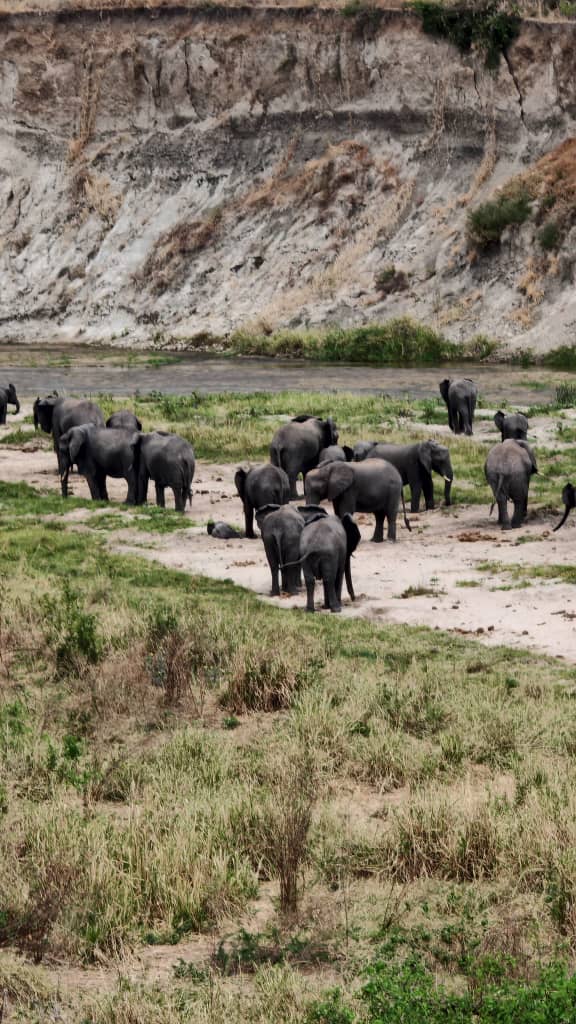 4-Day Tanzania Wildlife Safari – Serengeti, Ngorongoro & Tarangire