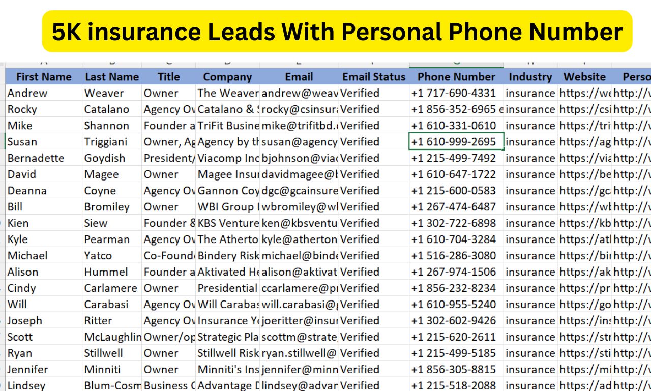 B2B lead generation service. 1000 lead with first name, last name, Job title, Email, website, linkedin url,location etc