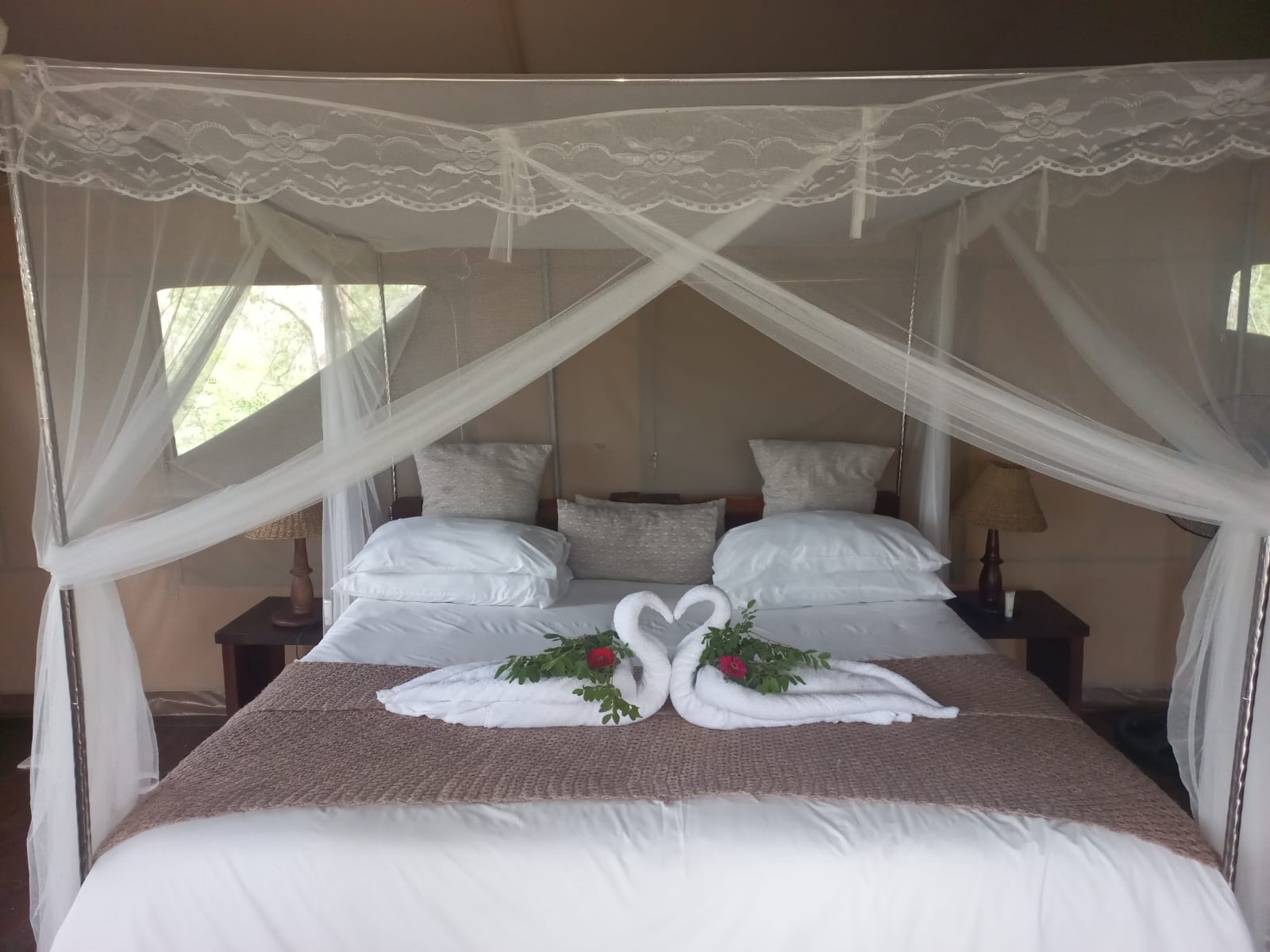 Elephant Camp- Miombo Safari Camp Hwange