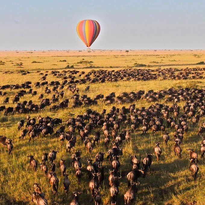 5-Day Luxury Safari in Masai Mara