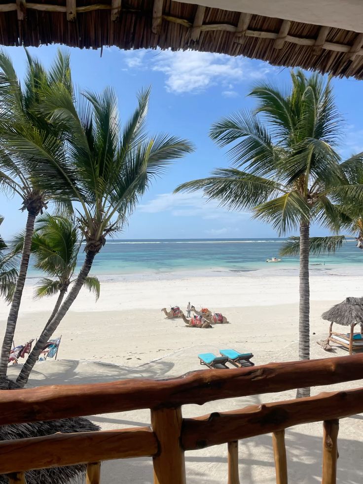 3 DAYS DIANI FLYING PACKAGE