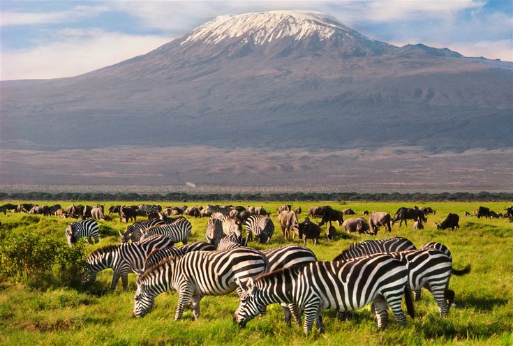 3 Days, 2 Nights Safari to Amboseli National Park from Nairobi